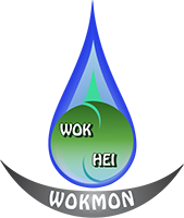 WokMon